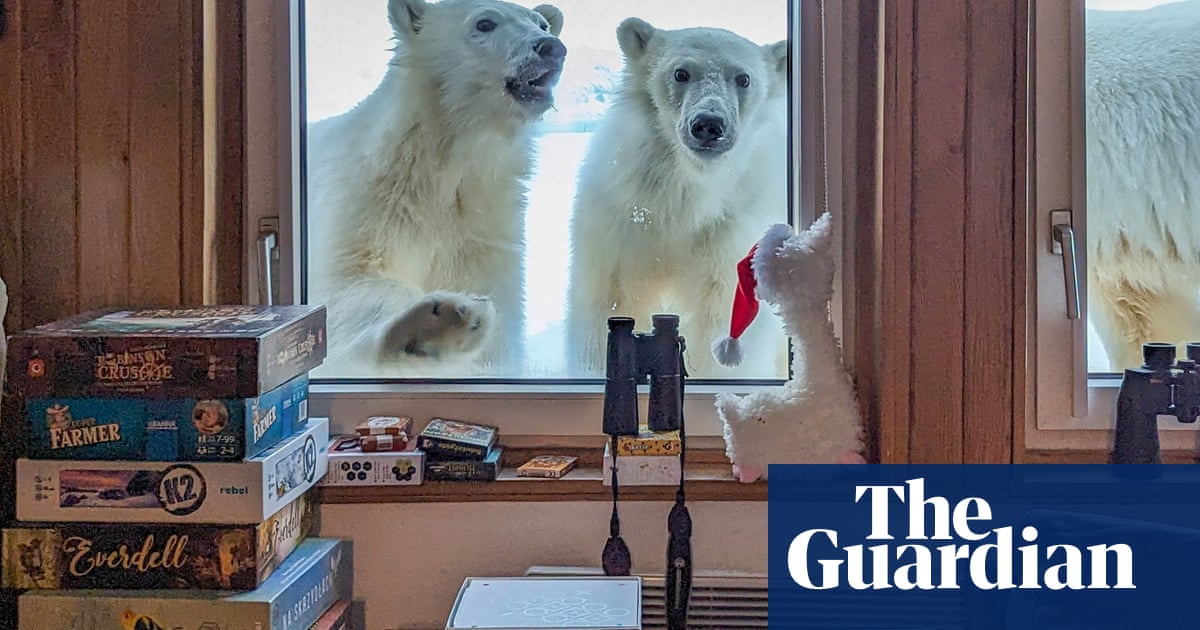 ‘Researcher’s Exciting Encounter with Svalbard Polar Bears: A Once-in-a-Lifetime Experience’ | Animals
