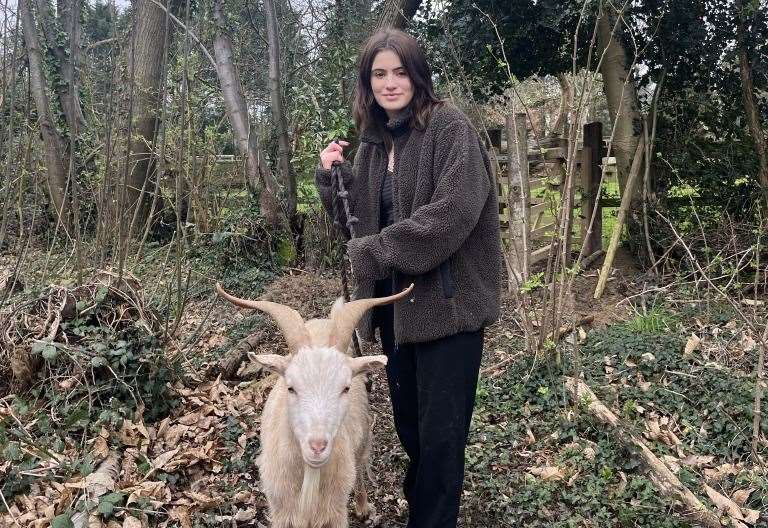 Our Review of the New Goat Encounter Experience at Buttercups Sanctuary for Goats in Boughton Monchelsea near Maidstone